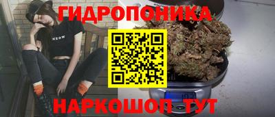 МДПВ Дубна