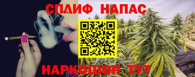 МДПВ Дубна