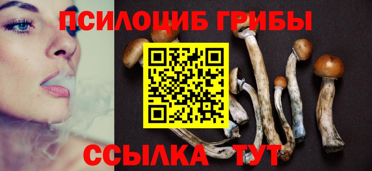 Мирный  Псилоцибиновые грибы Magic Shrooms  Вход с VPN  Псилоцибиновые грибы мухоморы 